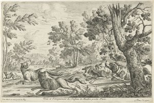 Caccia alla volpe