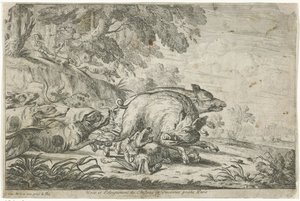 Caccia al cinghiale