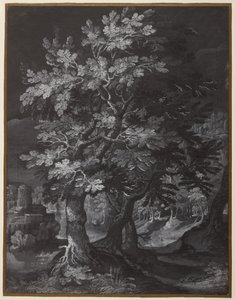 Scena della foresta