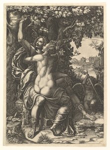 Angelica e Medoro, la coppia che si abbraccia, Medoro incide i loro nomi sulla corteccia di un albero, ca. 1570 da Giorgio Ghisi