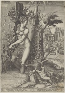 Venere e la rosa da Giorgio Ghisi