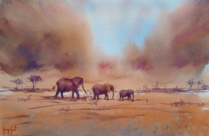 Viaggio di un elefante africano da Giorgio Gosti
