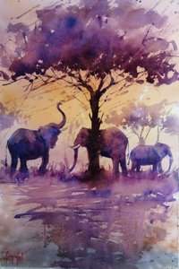 Elefanti africani al tramonto viola da Giorgio Gosti
