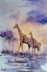 Giraffe al tramonto in Africa da Giorgio Gosti