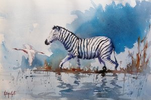 Zebra africana che guadagna da Giorgio Gosti
