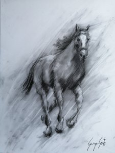 Cavallo dinamico color carbone