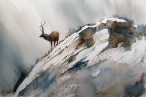 Alci sulle montagne in inverno da Giorgio Gosti
