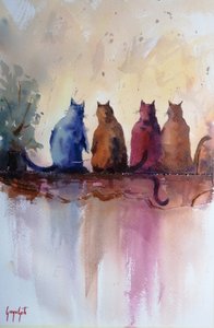 Quattro gatti colorati da Giorgio Gosti