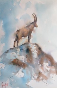 Il maestoso stambecco alpino da Giorgio Gosti