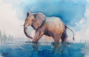 Il maestoso elefante che guadagna il fiume da Giorgio Gosti