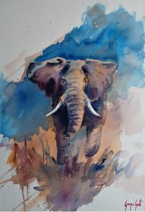 Maestoso elefante ad acquerello da Giorgio Gosti