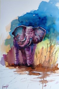 Il maestoso elefante viola da Giorgio Gosti
