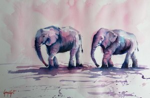 La marcia degli elefanti rosa da Giorgio Gosti