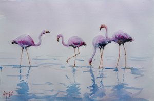 Fenicotteri rosa che sguazzano da Giorgio Gosti