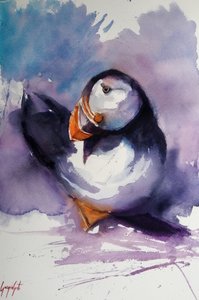 Ritratto di una pulcinella di mare viola