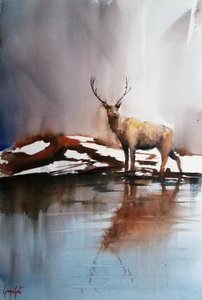 Cervo invernale riflesso da Giorgio Gosti