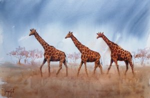 Trio di giraffe Safari da Giorgio Gosti