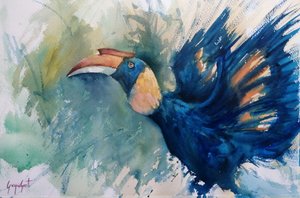 Bucero blu tropicale da Giorgio Gosti