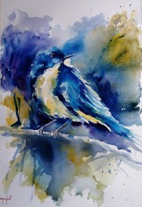 Uccellino blu vivace da Giorgio Gosti