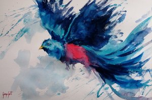 Uccello in volo dai colori vivaci da Giorgio Gosti