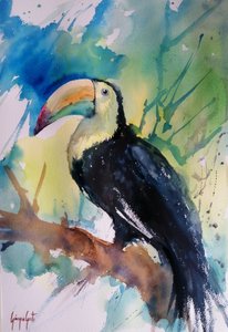 Tucano della giungla dai colori vivaci da Giorgio Gosti
