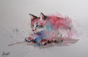 Gattino che schizza nell