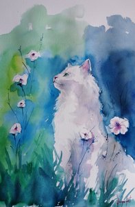 Gatto bianco in fiore da Giorgio Gosti
