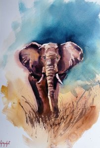 Elefante africano selvatico da Giorgio Gosti