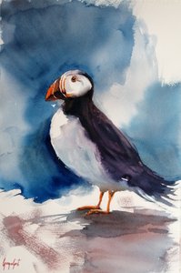 puffino 2 da Giorgio Gosti