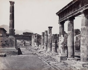Colonnato orientale del Tempio di Venere Pompeiiana a Pompei da Giorgio Sommer