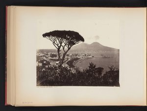 Veduta di Napoli, Italia, con un pino in primo piano