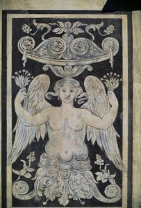 Figura allegorica, Palazzo dei Cavalieri o Palazzo della Carovana, Piazza dei Cavalieri, Pisa da Giorgio Vasari
