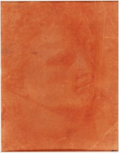 Testa in profilo di tre quarti (recto); Giovane uomo in piedi che indica a sinistra e schizzi di piedi, braccio (verso) da Giorgione