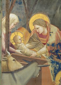 La Natività, circa 1305 (dettaglio) da Giotto (c.1266 1337)