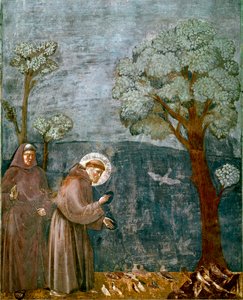 Episodio della vita di San Francesco: La predicazione agli uccelli da Giotto (c.1266 1337)