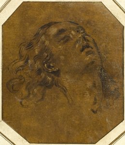 Testa femminile da Giovan Gioseffo dal Sole