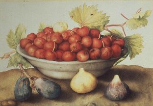 Una ciotola di ciliegie e fichi da Giovanna Garzoni