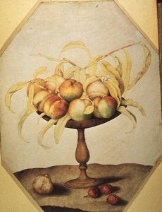 Ciotola di pesche da Giovanna Garzoni