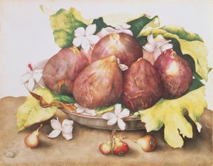 Fichi su foglie