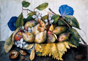 Piatto di prugne, gelsomino e noci. Dipinto su pergamena di Giovanna Garzoni da Giovanna Garzoni