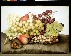 Immagine sconosciuta da Giovanna Garzoni