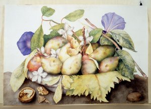 Immagine sconosciuta da Giovanna Garzoni
