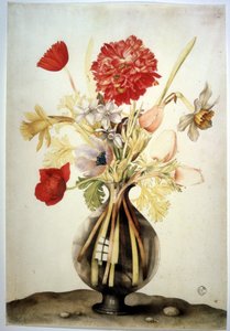 Immagine sconosciuta da Giovanna Garzoni