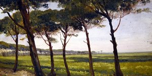 Una fila di vecchi pini da Giovanni Costa