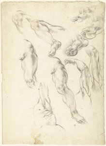 Foglio di studio con braccia e gambe da Giovanni Alberti