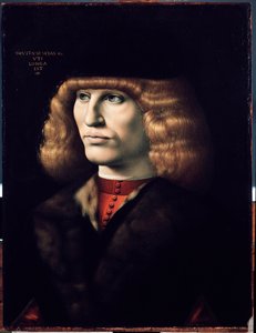 Ritratto di giovane uomo, circa 1495 da Giovanni Ambrogio de Predis