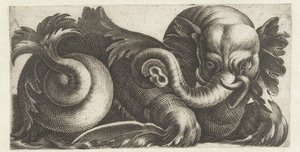Elefante marino con orecchie di foglie da Giovanni Andrea Maglioli