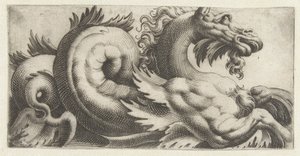 Cavalluccio marino con pinne a forma di foglia e barba da Giovanni Andrea Maglioli