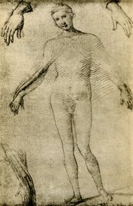 Studio di modello per una Vergine Maria come mater misericordiae