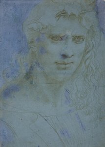 Busto di giovane coronato di spine e tralci di vite, c. 1495